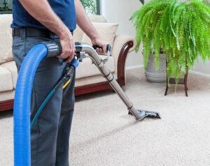 Carpet Cleaning Near Me